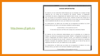 http://www.cjf.gob.mx
 