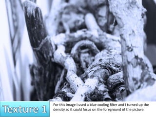 For this image I used a blue cooling filter and I turned up the 
density so it could focus on the foreground of the picture. 
 