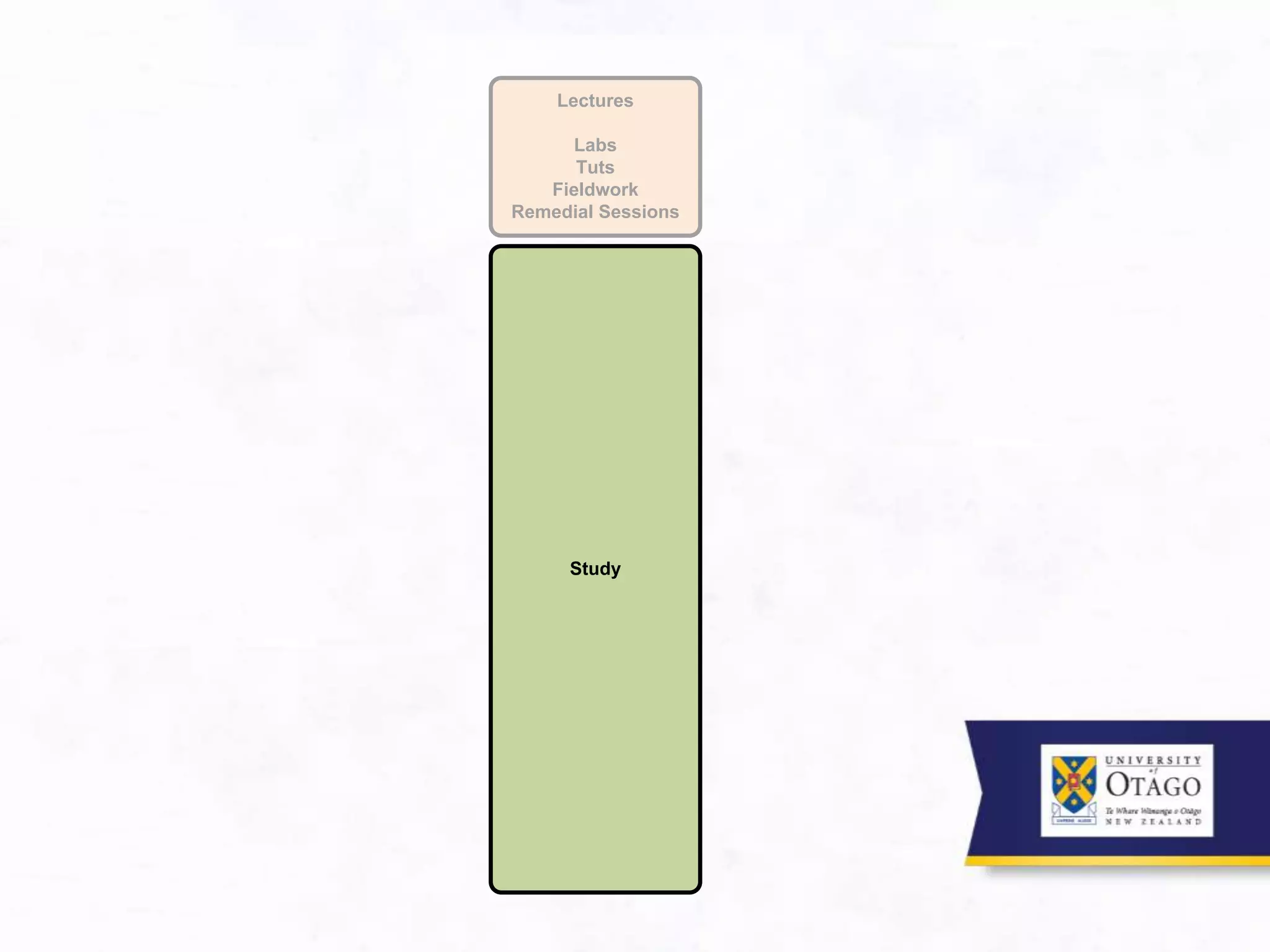 Lectures
Labs
Tuts
Fieldwork
Remedial Sessions
Study
 