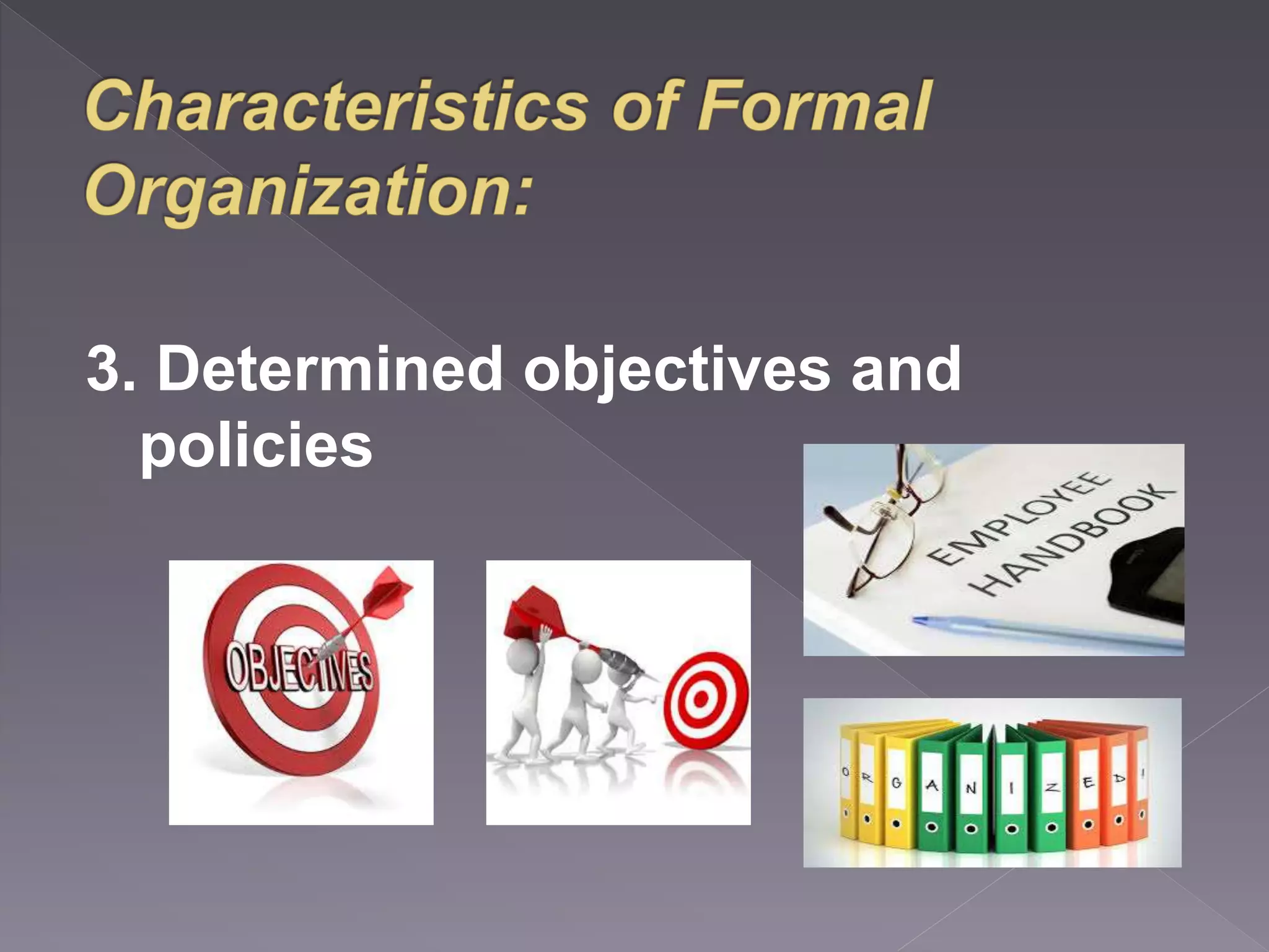 3. Determined objectives and 
policies 
 