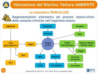 Copyright EPC Srl Socio Unico – tutti i diritti riservati, riproduzione vietata
Le atmosfere PERICOLOSE
Rappresentazione schematica dei processi tossico-clinici
delle sostanze chimiche nell’organismo umano:
Valutazione del Rischio: Fattore AMBIENTE
84
Sangue
e linfa
Ingestione
Tubo
gastroenterico
Feci
Fegato
Bile
Inalazione
Polmone
Contatto
Polmone
Rene
Urine Aria espirata
Pelle
Fluido
extracellulare
Strutture
secretorie
Secrezioni
Organi
Tessuto adiposo
Tessuto osseo
 