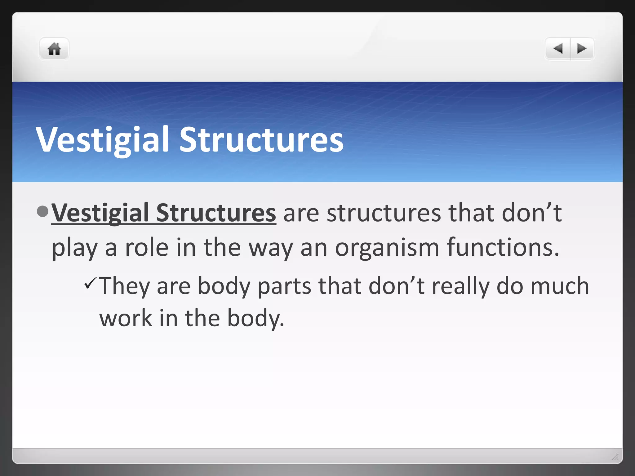 Vestigial Structures Vestigial Structures  are structures that don’t play a role in the way an organism functions.  They are body parts that don’t really do much work in the body.  