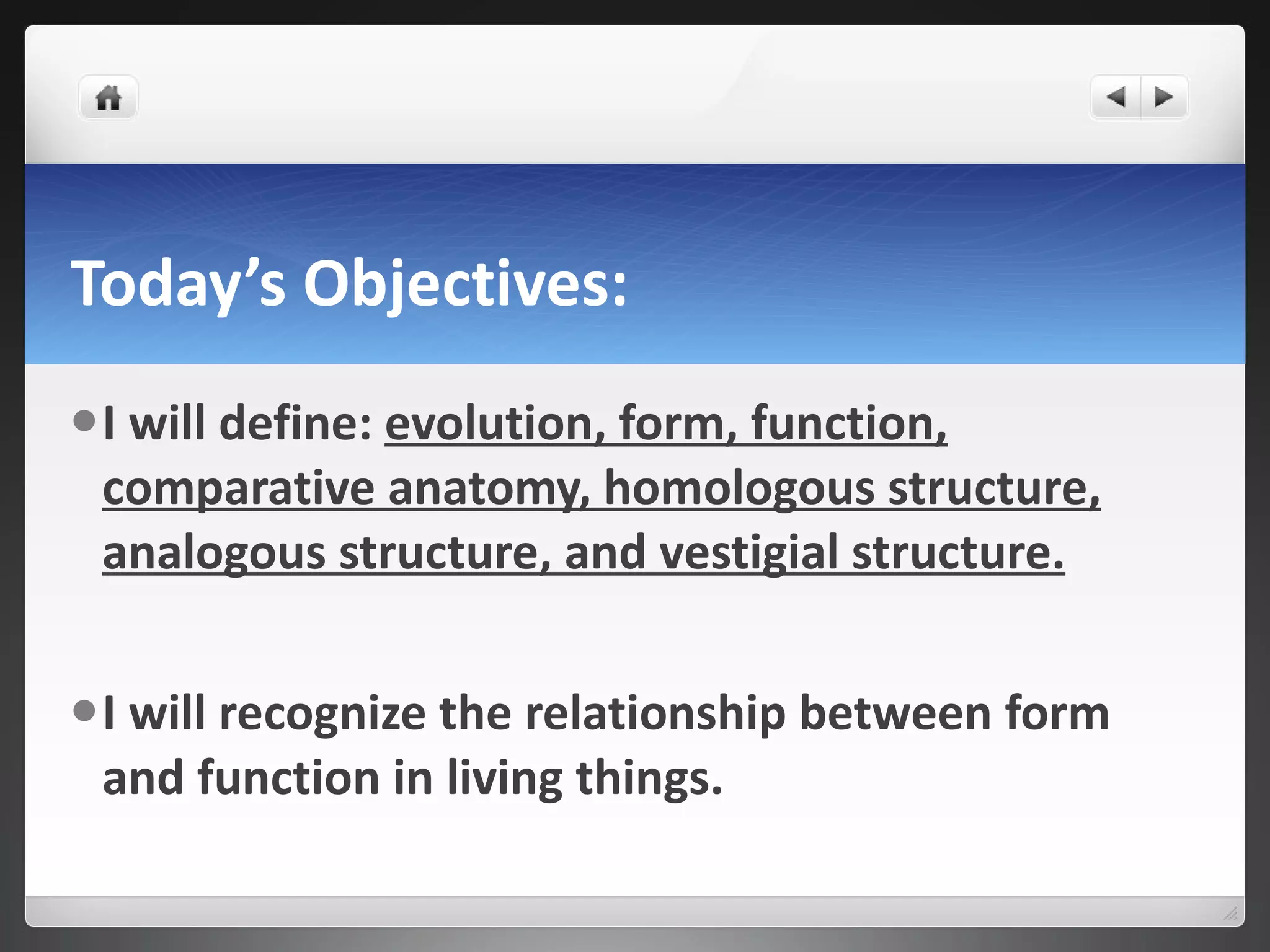 Today’s Objectives: I will define:  evolution, form, function, comparative anatomy, homologous structure, analogous structure, and vestigial structure. I will recognize the relationship between form and function in living things. 