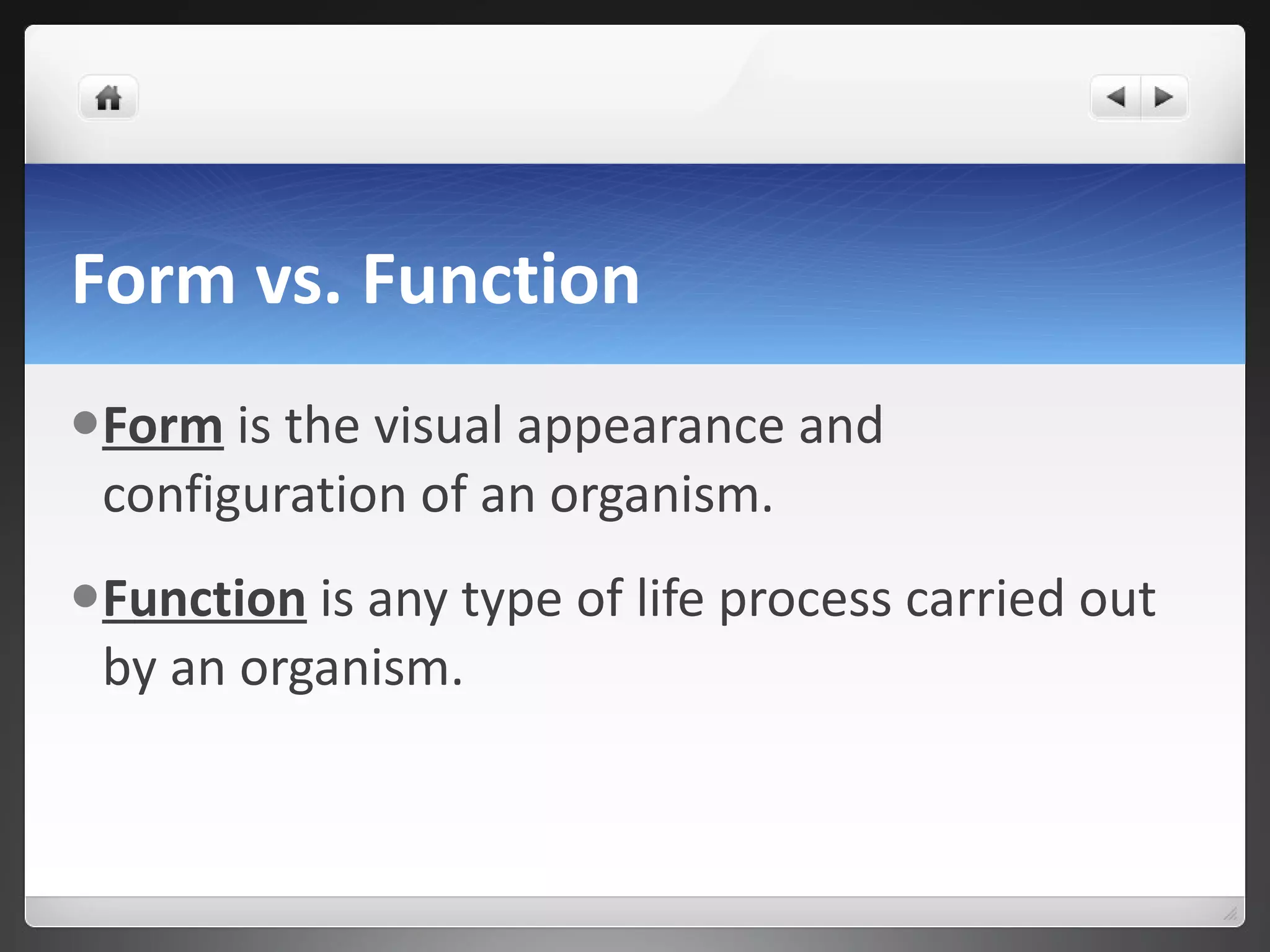 Form and function | PPT
