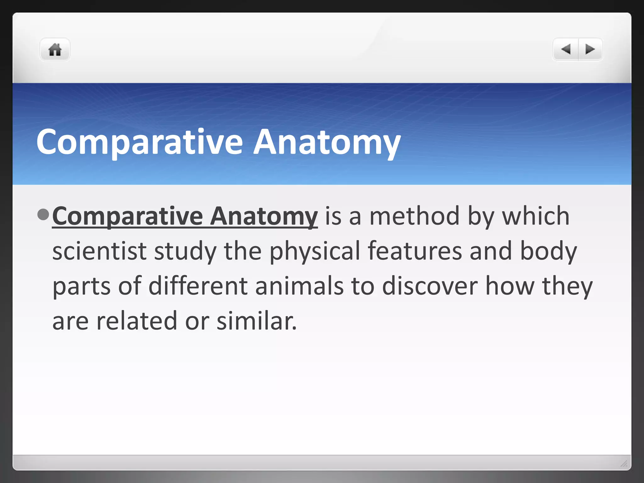 Comparative Anatomy Comparative Anatomy   is a method by which scientist study the physical features and body parts of different animals to discover how they are related or similar. 