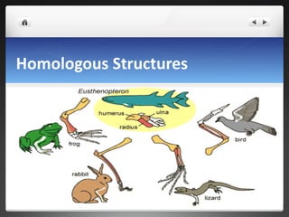 Form and function | PPT | Biological Sciences | Science