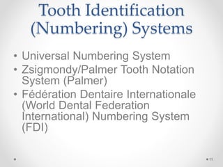 Tooth Identification 
(Numbering) Systems 
• Universal Numbering System 
• Zsigmondy/Palmer Tooth Notation 
System (Palmer) 
• Fédération Dentaire Internationale 
(World Dental Federation 
International) Numbering System 
(FDI) 
11 
 