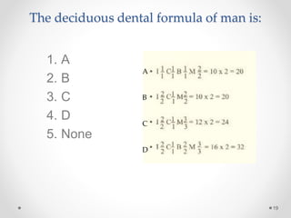 The deciduous dental formula of man is: 
19 
A 
B 
C 
D 
1. A 
2. B 
3. C 
4. D 
5. None 
 