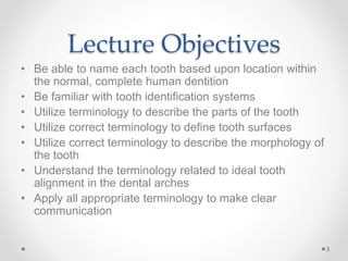 Lecture Objectives 
• Be able to name each tooth based upon location within 
the normal, complete human dentition 
• Be familiar with tooth identification systems 
• Utilize terminology to describe the parts of the tooth 
• Utilize correct terminology to define tooth surfaces 
• Utilize correct terminology to describe the morphology of 
the tooth 
• Understand the terminology related to ideal tooth 
alignment in the dental arches 
• Apply all appropriate terminology to make clear 
communication 
3 
 