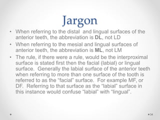 Jargon 
• When referring to the distal and lingual surfaces of the 
anterior teeth, the abbreviation is DL, not LD 
• When referring to the mesial and lingual surfaces of 
anterior teeth, the abbreviation is ML, not LM 
• The rule, if there were a rule, would be the interproximal 
surface is stated first then the facial (labial) or lingual 
surface. Generally the labial surface of the anterior teeth 
when referring to more than one surface of the tooth is 
referred to as the “facial” surface. For example MF, or 
DF. Referring to that surface as the “labial” surface in 
this instance would confuse “labial” with “lingual”. 
34 
 