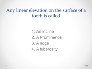 Any linear elevation on the surface of a 
tooth is called 
56 
1. An incline 
2. A Prominence 
3. A ridge 
4. A tuberosity 
 