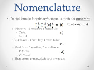 Nomenclature 
• Dental formula for primary/deciduous teeth per quadrant 
7 
o I=Incisors - 2 maxillary, 2 mandibular 
• Central 
• Lateral 
o C=Canines – 1 maxillary, 1 mandibular 
o M=Molars – 2 maxillary, 2 mandibular 
• 1st Molar 
• 2nd Molar 
o There are no primary/deciduous premolars 
X 2 = 20 teeth in all 
 