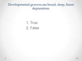 Developmental grooves are broad, deep, linear 
depressions. 
73 
1. True 
2. False 
 