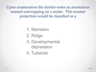 Upon examination the dentist notes an anomalous 
enamel outcropping on a molar. This enamel 
projection would be classified as a 
76 
1. Mamelon 
2. Ridge 
3. Developmental 
depression 
4. Tubercle 
 