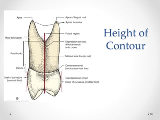 Height of 
Contour 
78 
 