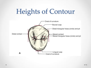 Heights of Contour 
79 
 