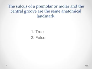 The sulcus of a premolar or molar and the 
central groove are the same anatomical 
landmark. 
83 
1. True 
2. False 
 