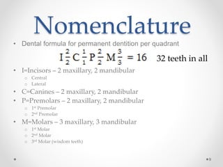 9 
Nomenclature 
• Dental formula for permanent dentition per quadrant 
• I=Incisors – 2 maxillary, 2 mandibular 
o Central 
o Lateral 
• C=Canines – 2 maxillary, 2 mandibular 
• P=Premolars – 2 maxillary, 2 mandibular 
o 1st Premolar 
o 2nd Premolar 
• M=Molars – 3 maxillary, 3 mandibular 
o 1st Molar 
o 2nd Molar 
o 3rd Molar (wisdom teeth) 
32 teeth in all 
 