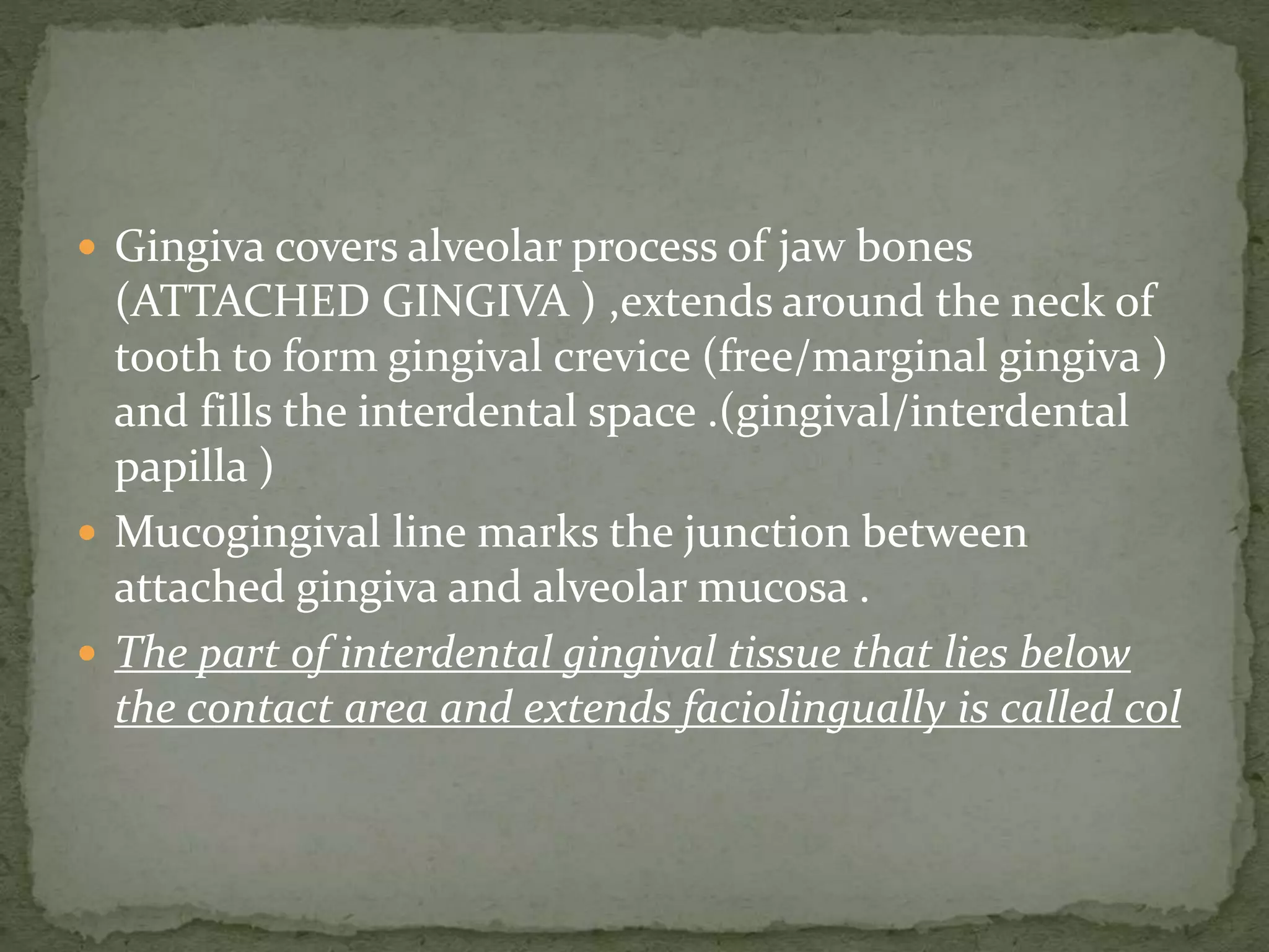 Gingiva covers alveolar process of jaw bones
(ATTACHED GINGIVA ) ,extends around the neck of
tooth to form gingival crevice (free/marginal gingiva )
and fills the interdental space .(gingival/interdental
papilla )
 Mucogingival line marks the junction between
attached gingiva and alveolar mucosa .
 The part of interdental gingival tissue that lies below
the contact area and extends faciolingually is called col
 