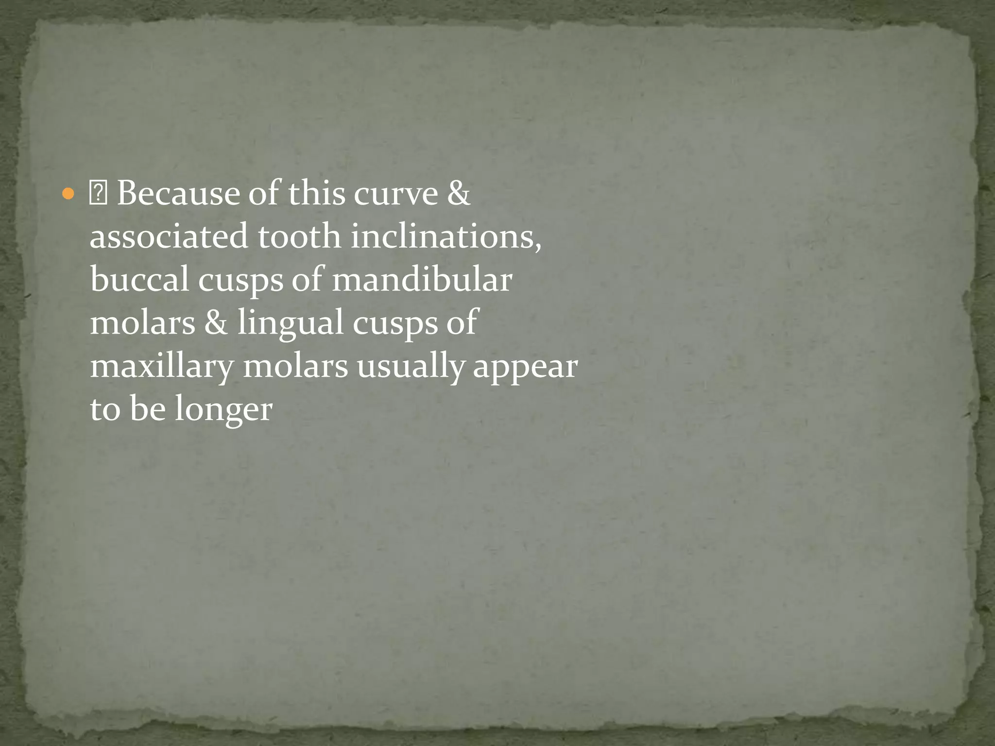  Because of this curve &
associated tooth inclinations,
buccal cusps of mandibular
molars & lingual cusps of
maxillary molars usually appear
to be longer
 