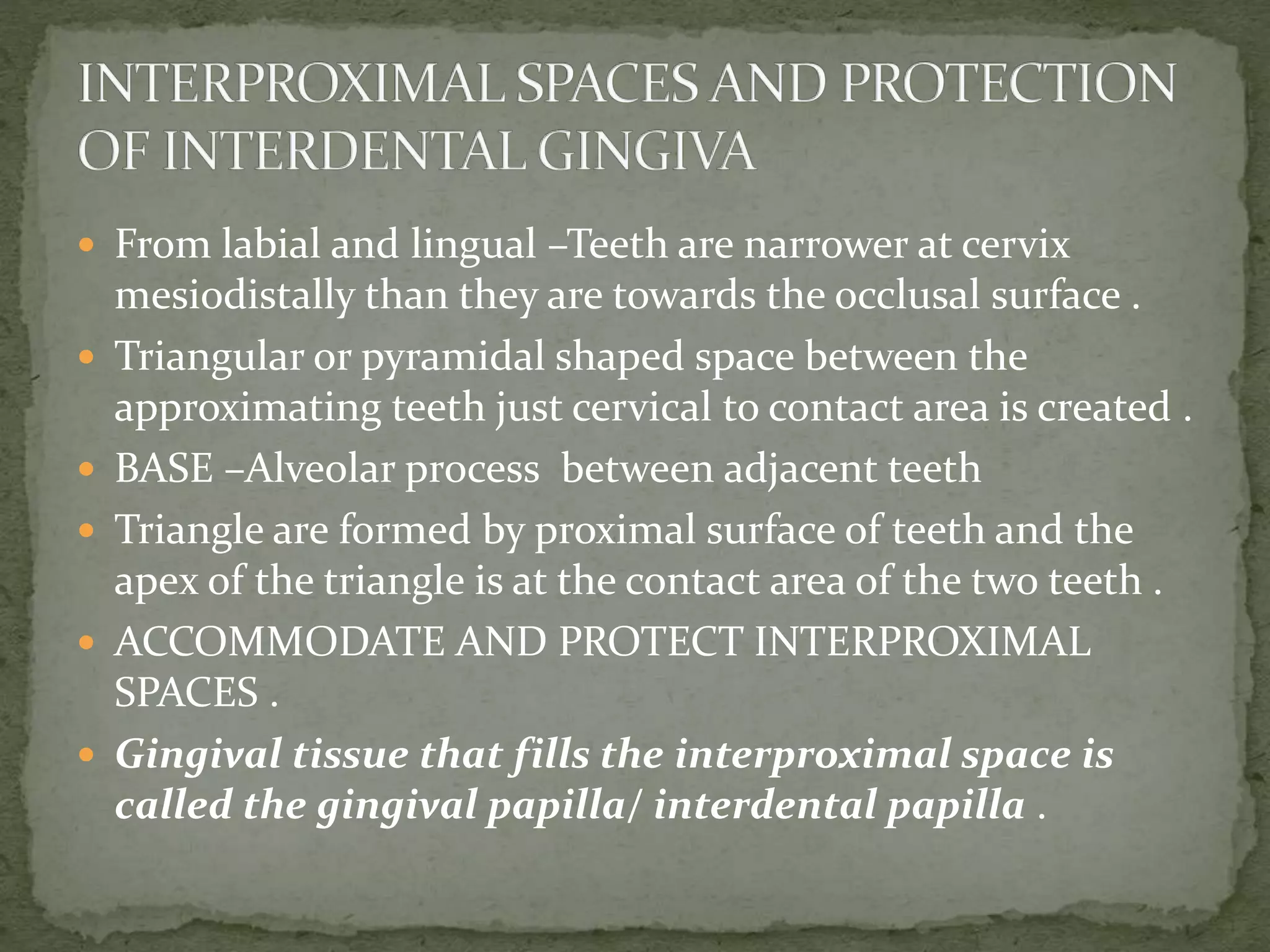  From labial and lingual –Teeth are narrower at cervix
mesiodistally than they are towards the occlusal surface .
 Triangular or pyramidal shaped space between the
approximating teeth just cervical to contact area is created .
 BASE –Alveolar process between adjacent teeth
 Triangle are formed by proximal surface of teeth and the
apex of the triangle is at the contact area of the two teeth .
 ACCOMMODATE AND PROTECT INTERPROXIMAL
SPACES .
 Gingival tissue that fills the interproximal space is
called the gingival papilla/ interdental papilla .
 