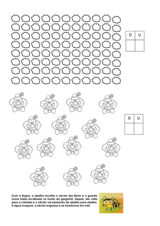 D U
D U
Com a língua, a abelha recolhe o néctar das flores e o guarda
numa bolsa localizada no fundo da garganta. Depois, ela volta
para a colmeia e o néctar vai passando de abelha para abelha.
A água evapora, o néctar engrossa e se transforma em mel.
 