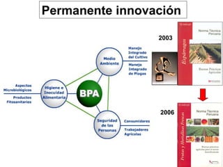 2003 2006 Permanente innovación  