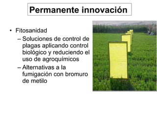 Fitosanidad Soluciones de control de plagas aplicando control biológico y reduciendo el uso de agroquímicos Alternativas a la fumigación con bromuro de metilo  Permanente innovación  