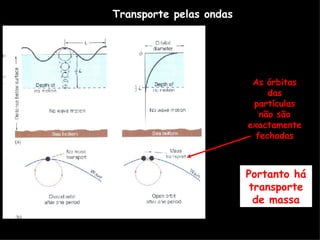 Transporte pelas ondas Portanto há transporte de massa As órbitas das partículas não são exactamente fechadas 