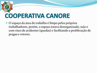  O espaço da área de trabalho é limpo pelos próprios
trabalhadores, porém, o espaço estava desorganizado, sujo e
com risco de acidentes (quedas) e facilitando a proliferação de
pragas e vetores.
 