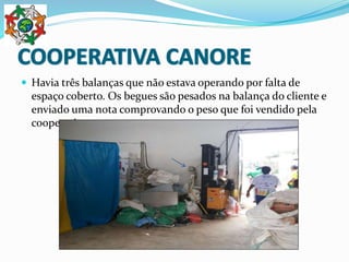  Havia três balanças que não estava operando por falta de
espaço coberto. Os begues são pesados na balança do cliente e
enviado uma nota comprovando o peso que foi vendido pela
cooperativa.
 