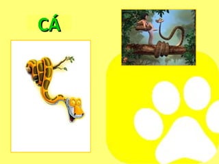 CÁ 