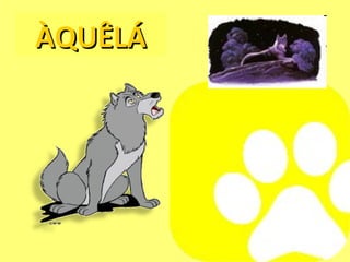 ÀQUÊLÁ 