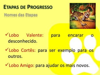 Lobo Valente:  para encarar o desconhecido.  Lobo Cortês:  para ser exemplo para os outros. Lobo Amigo:  para ajudar os mais novos. 