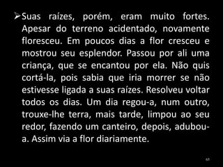 Suas raízes, porém, eram muito fortes.
Apesar do terreno acidentado, novamente
floresceu. Em poucos dias a flor cresceu e
mostrou seu esplendor. Passou por ali uma
criança, que se encantou por ela. Não quis
cortá-la, pois sabia que iria morrer se não
estivesse ligada a suas raízes. Resolveu voltar
todos os dias. Um dia regou-a, num outro,
trouxe-lhe terra, mais tarde, limpou ao seu
redor, fazendo um canteiro, depois, adubou-
a. Assim via a flor diariamente.
65
 