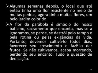 Algumas semanas depois, o local que até
então tinha uma flor resistente no meio de
muitas pedras, agora tinha muitas flores, um
belo jardim colorido.
A flor da parábola é símbolo do nosso
batismo, sacramento que encanta, mas se a
ignoramos, se perde, se destrói pelo tempo e
pela rotina ou pelas exigências da vida.
Portanto, devemos cultivá-lo todos dias,
favorecer seu crescimento e fazê-lo dar
frutos. Se não cultivamos, acaba morrendo,
perdendo seu encanto. Tudo é questão de
dedicação.
66
 