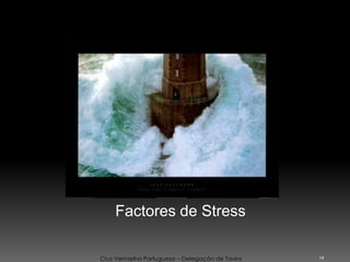 14
Cruz Vermelha Portuguesa – Delegação de Tavira
Factores de Stress
 
