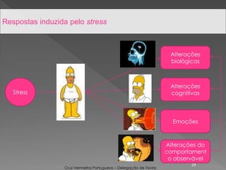 24
Respostas induzida pelo stress
Stress
Alterações
biológicas
Alterações
cognitivas
Emoções
Alterações do
comportament
o observável
Cruz Vermelha Portuguesa – Delegação de Tavira
 