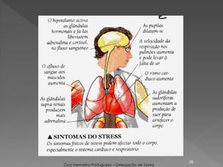 26
Cruz Vermelha Portuguesa – Delegação de Tavira
 