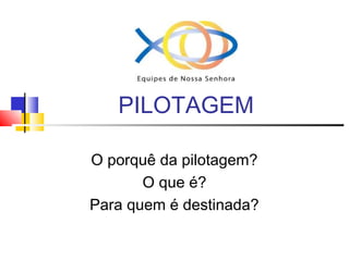 PILOTAGEM
O porquê da pilotagem?
O que é?
Para quem é destinada?
 