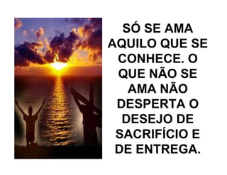 SÓ SE AMA
AQUILO QUE SE
CONHECE. O
QUE NÃO SE
AMA NÃO
DESPERTA O
DESEJO DE
SACRIFÍCIO E
DE ENTREGA.
 