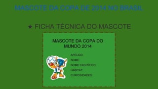 ★ FICHA TÉCNICA DO MASCOTE
MASCOTE DA COPA DE 2014 NO BRASIL
 