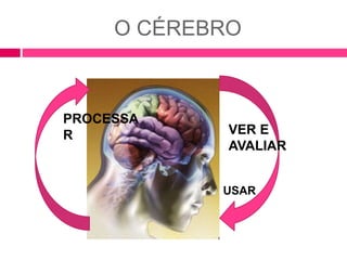 O CÉREBRO 
PROCESSA 
R VER E 
AVALIAR 
USAR 
 