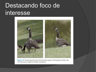 Destacando foco de interesse