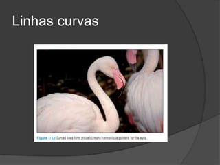 Linhas curvas