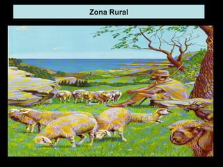 Zona Rural 