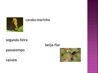 cavalo-marinho
segunda-feira
beija-flor
passatempo
vaivém
 