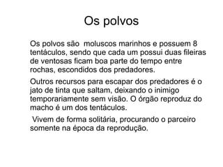 Os polvos
Os polvos são moluscos marinhos e possuem 8
tentáculos, sendo que cada um possui duas fileiras
de ventosas ficam boa parte do tempo entre
rochas, escondidos dos predadores.
Outros recursos para escapar dos predadores é o
jato de tinta que saltam, deixando o inimigo
temporariamente sem visão. O órgão reproduz do
macho é um dos tentáculos.
 Vivem de forma solitária, procurando o parceiro
somente na época da reprodução.
 