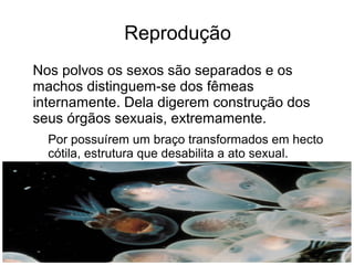 Reprodução
Nos polvos os sexos são separados e os
machos distinguem-se dos fêmeas
internamente. Dela digerem construção dos
seus órgãos sexuais, extremamente.
  Por possuírem um braço transformados em hecto
  cótila, estrutura que desabilita a ato sexual.
 