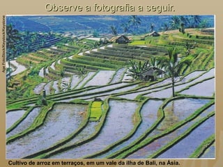 Observe a fotografia a seguir.Observe a fotografia a seguir.
Cultivo de arroz em terraços, em um vale da ilha de Bali, na Ásia.
AgeFotoStock/Keystock/Keystone
 